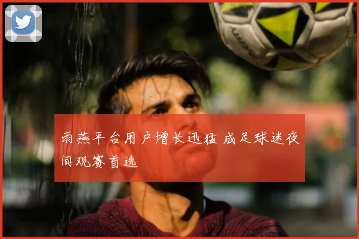 雨燕平台用户增长迅猛 成足球迷夜间观赛首选