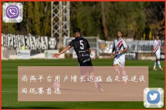 雨燕平台用户增长迅猛 成足球迷夜间观赛首选