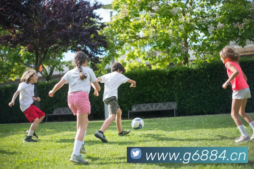 九游官网登录首页APP 封面图